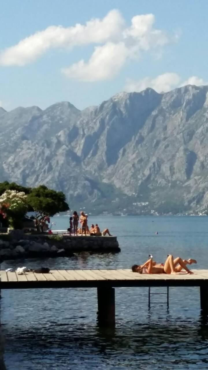 Apartament Radiant Kotor Zewnętrze zdjęcie